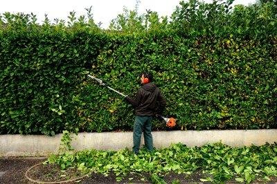 Entretien espace Vert - Photo 4