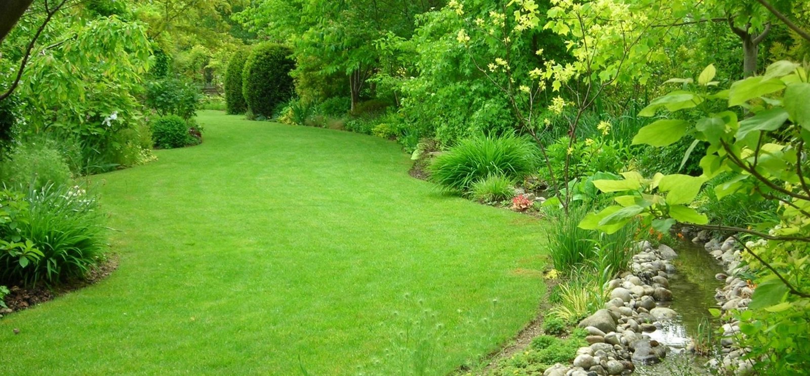 Entretien espace Vert - Photo 2