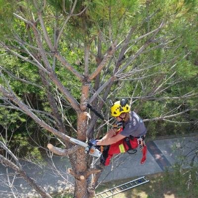 Divers travaux - Photo 10