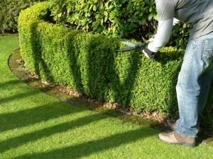 Divers travaux - Photo 18