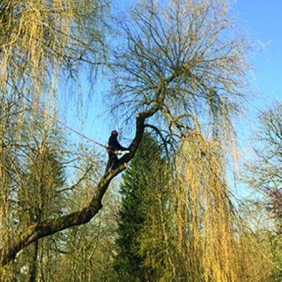 Divers travaux - Photo 19